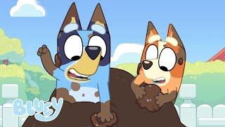 Brincando na Sujeira  | Diversão ao ar livre com Bluey ️ | Bluey Português Brasil Canal Oficial