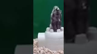 rat jumping video viral | #shorts #ytshorts #rat