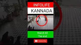 intelligent man kannad #youtubeshorts #shorts #trending #infolifekannada #viral #viralvideo #kannada