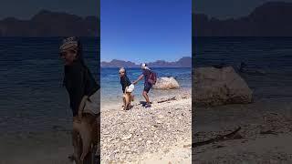 #shortvideo #youtubeshorts #youtubevideo #youtube