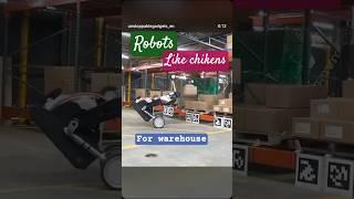 Robots Like Chikens For Warehouses