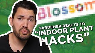 Gardener Roasts Dumb "Indoor Gardening Hacks"