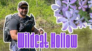 Backpacking Wildcat Hollow - Wayne National Forest