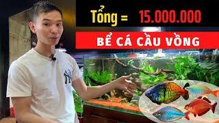 Bể cá cầu vồng 15 triệu có gì? |Nguyễn Du aqua