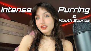 ASMR | Intense Purring, Unpredictable Mouth Sounds, & Hand Movements +