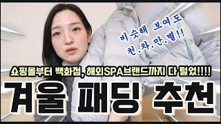 가격대별 스타일별 라이프스타일별 딱 맞는 패딩 찾는 방법부터 직접 입어서 추천까지!! 언니, 그냥 이거 사 #패딩추천 #패딩코디 #한파