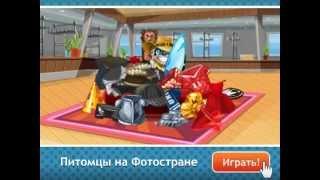 Интересные игры онлайн, завести питомца фотостран 2011