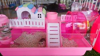 9 Minutes Satisfying with Unboxing Cute Pink Hamster House ASMR