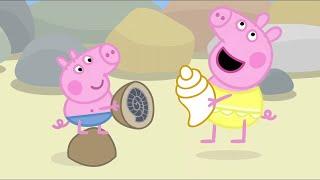 Peppa Pig Full Episodes | Rock Pools | Cartoons for Children