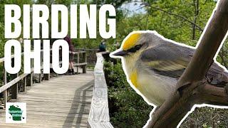 The Biggest Week in American Birding Day 1