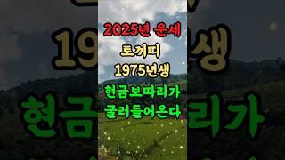 [2025년 을사년 토끼띠운세]  토끼띠 75년생 현금보따리가 굴러들어온다.
