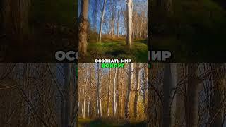 Сознание: один нейрон против миллионов