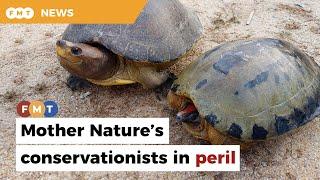 Mother Nature’s conservationists in peril