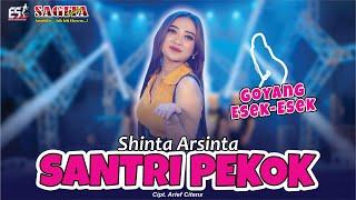 Shinta Arsinta - Santri Pekok | Dangdut (Official Music Video)