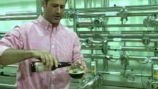 Quick Sip Clips by Dogfish Head: Raison D'Etre