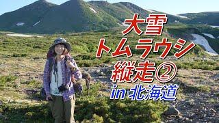 【2泊3日テント泊縦走】憧れのトムラウシ山へ！ヒグマとの遭遇！？や巨大お花畑に感動の嵐…！