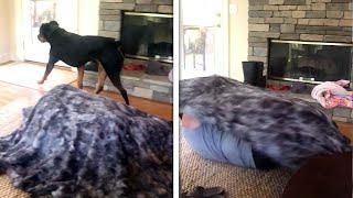 Dog Vs Magic Trick! Owner Confuses Dog HIDING UNDER BLANKET! (Funny Dog Reaction)