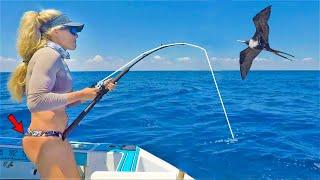 Secret TINY Baits Under a MASSIVE Bird! Florida Keys Style Fishing