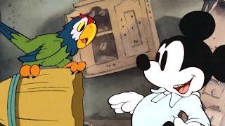 Mickey's Parrot | A Classic Mickey Cartoon | Have A Laugh