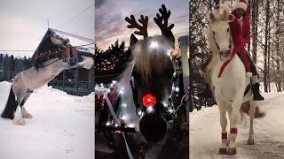 Horsey Christmas Compilation (2022)