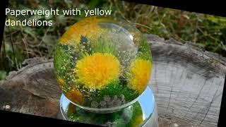 Paperweight Yellow dandelions 10 cm, birthday gift, decoration. Author's glass by Yulia Kurakina