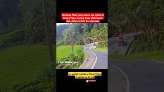 Suasana Pedesaan Di Dusun Pager Jurang Desa Wukirsawit Kecamatan Jatiyoso-FERI NGEVLOG #feringevlog