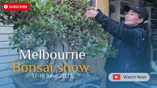 Madam Bonsai Bonsai Show Melbourne June 2023