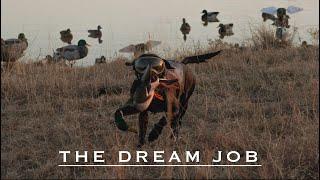 Limits of Ducks on Small Kansas Pond | The Dream Job: S2:W6