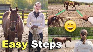 HOW TO LUNGE A HORSE FOR BEGINNERS   | Without A Round Pen