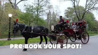 NYC Horse Carriage Rides in Central Park