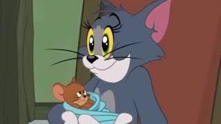 tom and jerry