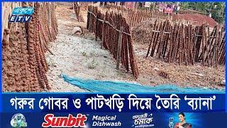 পরিবেশ বান্ধব ও সাশ্রয়ী হওয়ায় বাড়ছে `ব্যানা' র চাহিদা | ETV NEWS | Ekushey TV