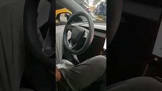 Tesla Autopilot (inside) 