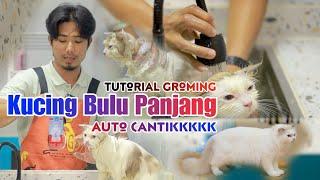 TUTORIAL CARA MEMANDIKAN KUCING BULU PANJANG , BULUNYA LANGSUNG CANTIK