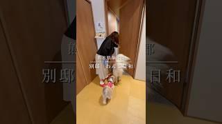 【愛犬旅】熊本・わんこ日和