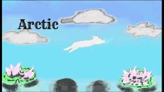 Arctic Fox Studio Intro