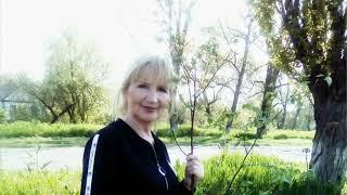 Любовь Ишунькина в программе НЛХТО "Парус" "С автором наедине"