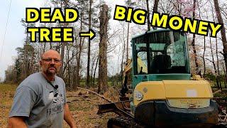 Milling  A Dead White Oak Into Valuable Lumber For Corral Repairs.