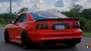 My friends crazy 600+ HP Cobra!!