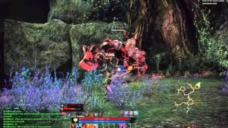 Tera Gameplay - BAM Fight in Oblivion Woods