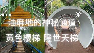 99%香港人未去過｜油麻地｜隱世通道｜神秘通道｜ 黃色樓梯｜神密天梯｜野餐好去處｜香港郊野公園｜好去處【廣東話 中文字幕】