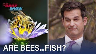 Why Does California Categorize Bees as Fish? Michael Kosta Investigates | The Daily Show