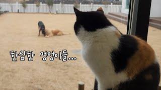 아치의 하루