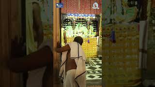 Vrindavan Chandrodaya Mandir's Garland Seva to Sri Gopinath Ji