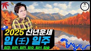 을사년 신년운세 - 임(壬) 일주