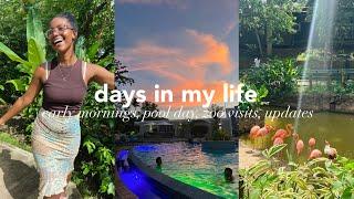 DAYS IN MY LIFE LIVING IN TRINIDAD: early mornings, pool day, zoo visit, updates and more!