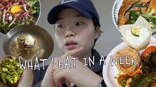 ‍️VLOG#171 / (갑자기 돌아온) 일주일 식단과 운동 기록 What I eat in a week / 도아하바 DOAHAVA