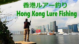 香港ルアー釣り、ナマズか雷魚か(Hong Kong Lure Fishing, Catfish or Snakehead?)