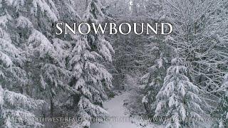 Snowbound: Pacific Northwest Island Snow (4K Aerial Beauty)