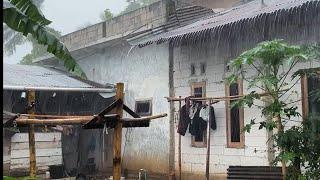 LIVE Heavy rain in beautiful village||very heavy and cool